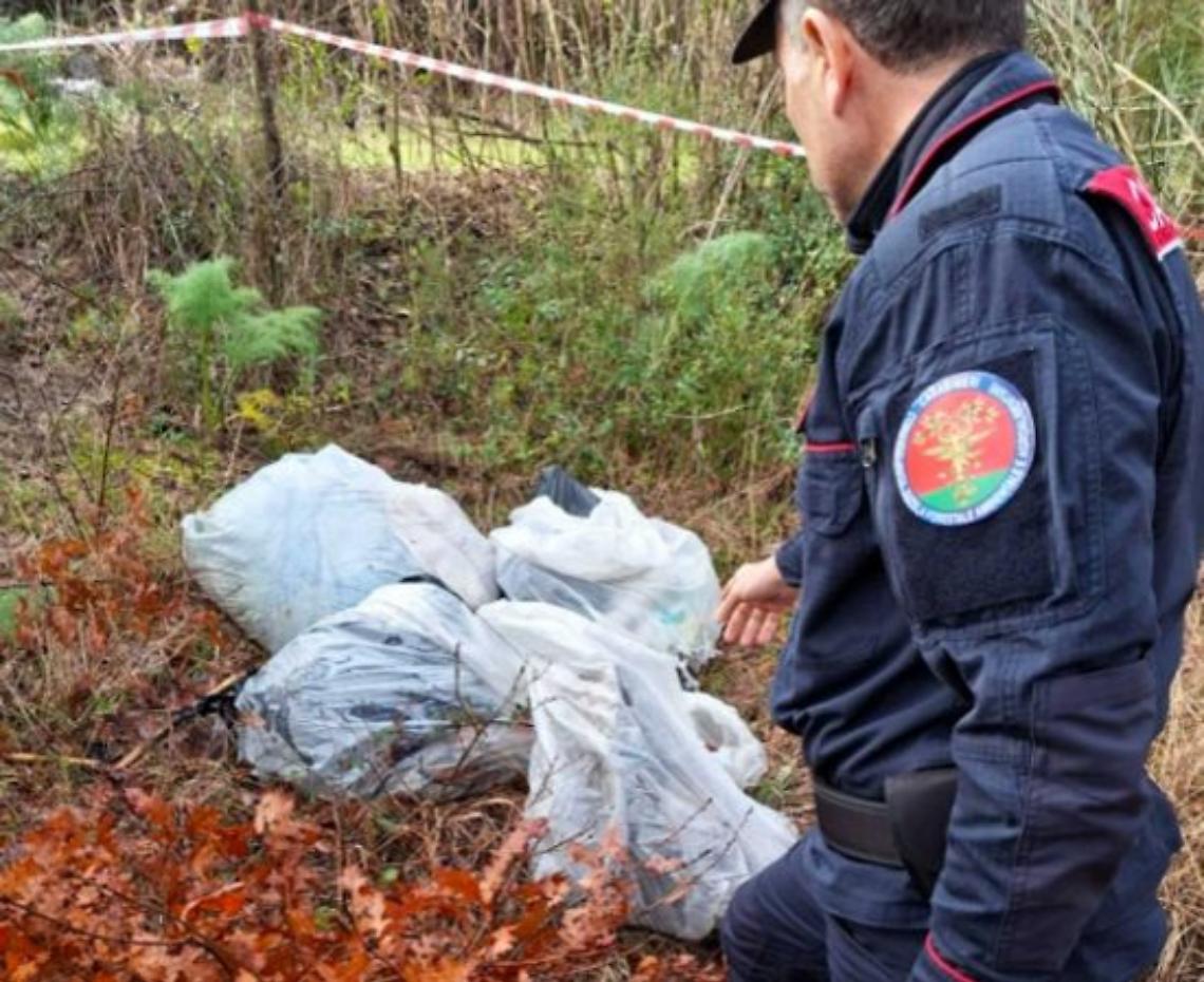 Scoperti rifiuti abbandonati nel bosco, una denuncia