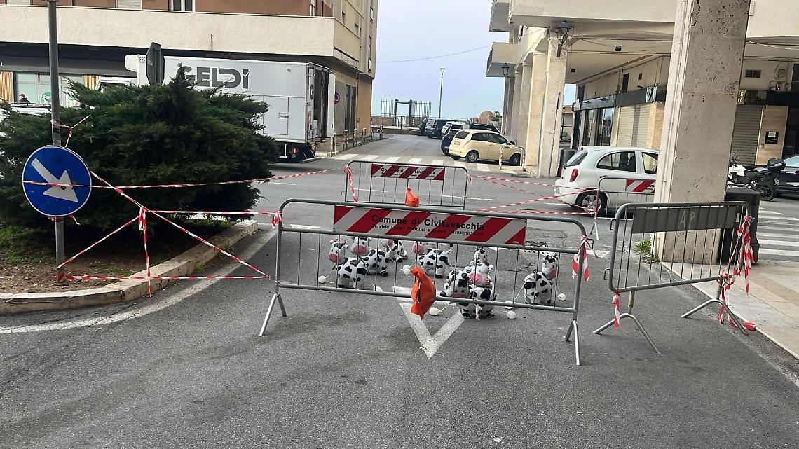 Corso Marconi, la foto che imbarazza: mucche tra le transenne e polemica in citt&agrave;