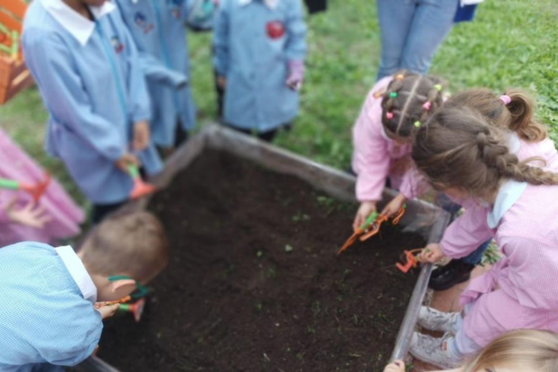 Al Sacconi sboccia l&rsquo;inclusione