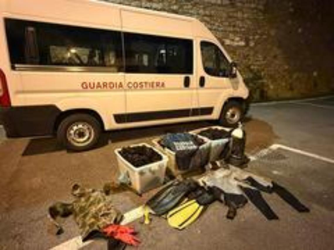 Blitz della Guardia Costiera a Santa Marinella 