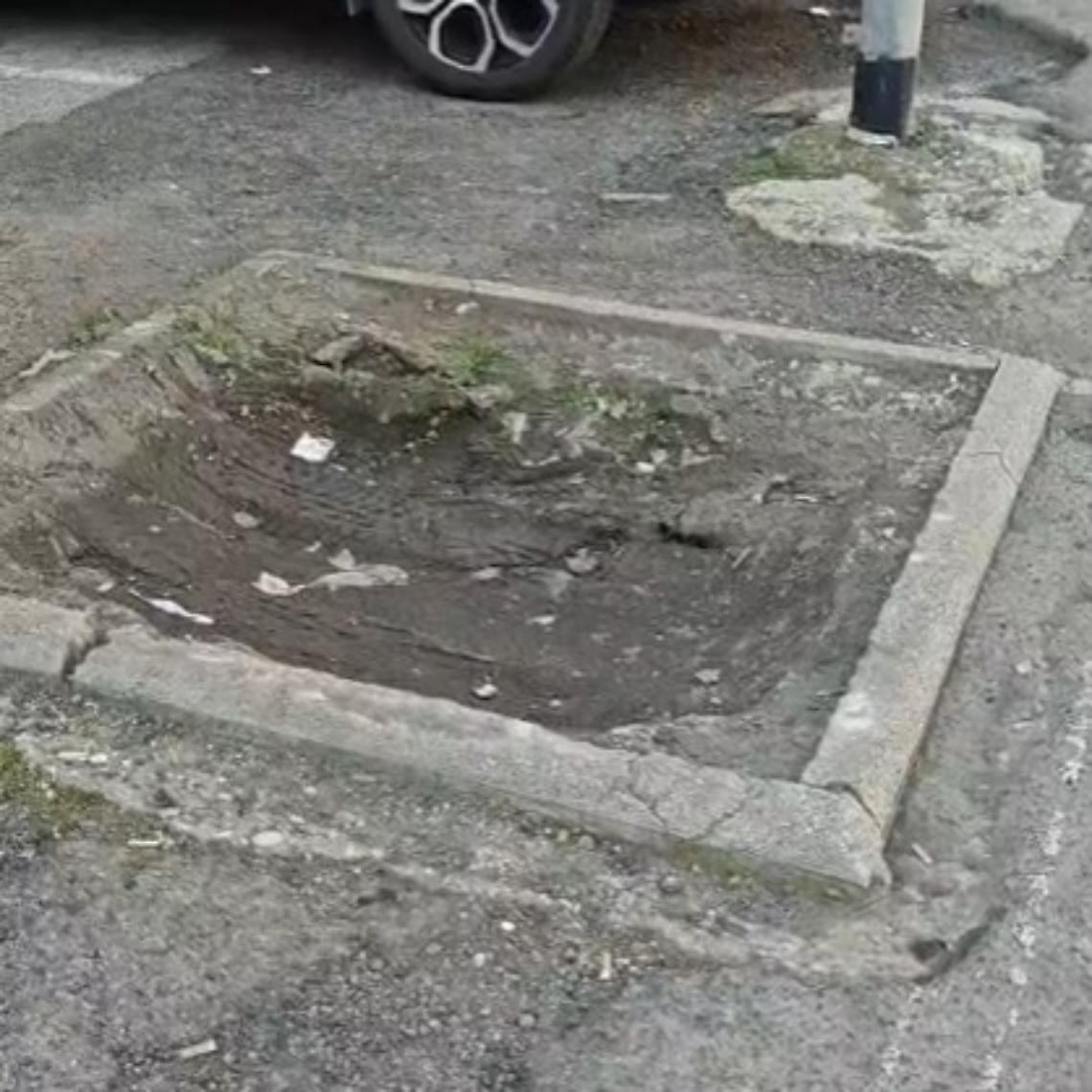 A Civitavecchia si taglia ma non si ripianta: cittadini segnalano il degrado del verde