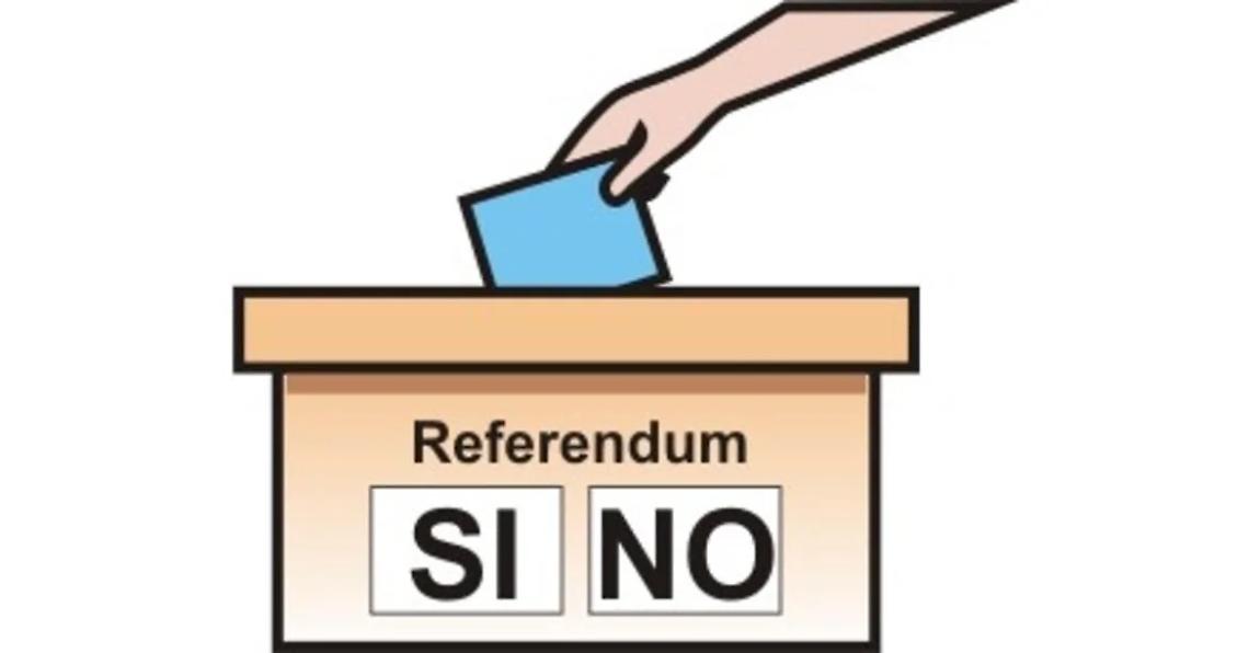 Referendum 2026: Santa Marinella si prepara al voto. 