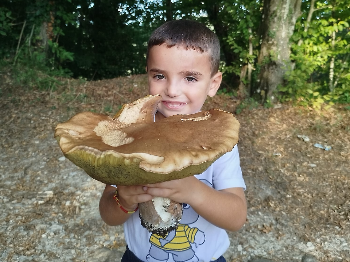 Il buongiorno e l&rsquo;oroscopo del 14 Marzo 2026