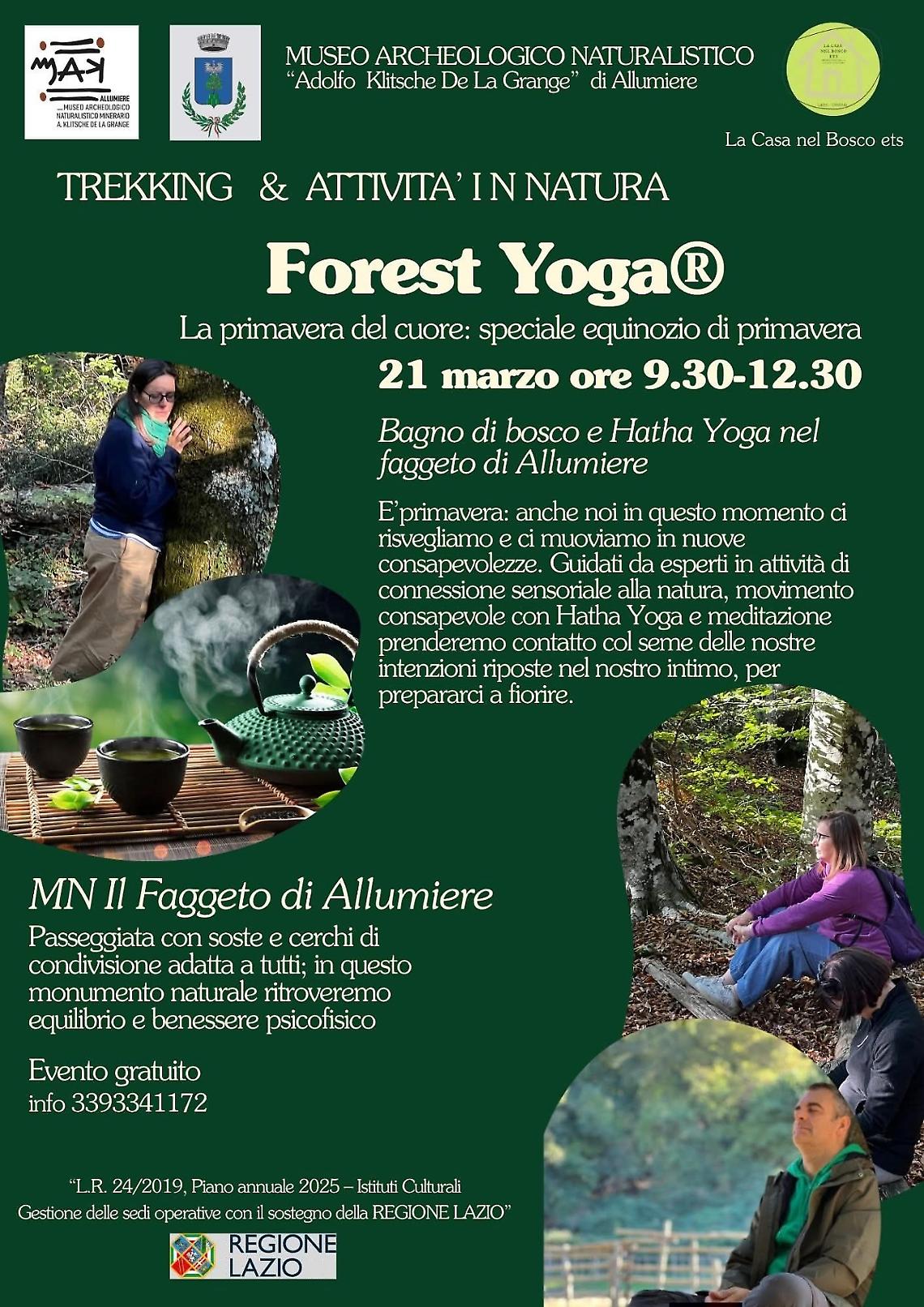&ldquo;Forest Yoga&rdquo; al Faggeto di  Allumiere: la primavera del cuore
