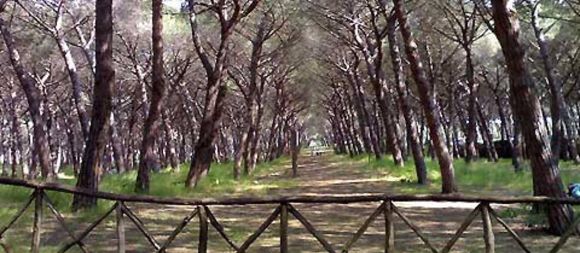 Domenica la 69esima edizione del Campionato Nazionale Uisp Aps   