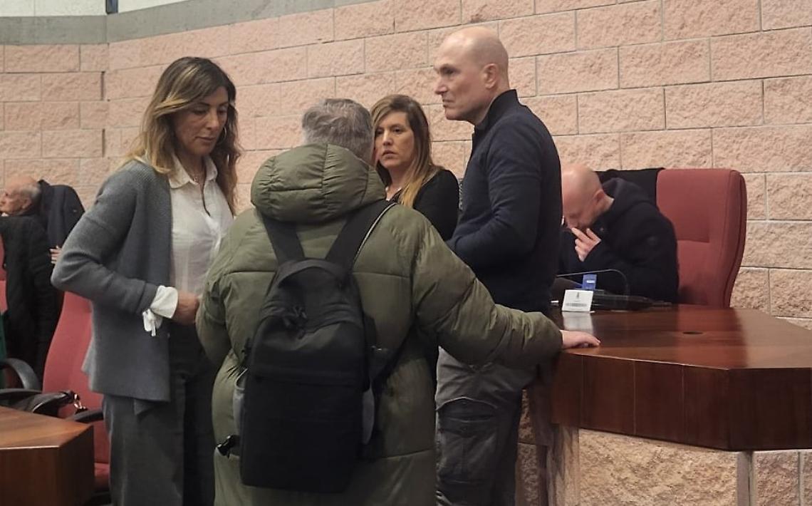 Alberi e rottamazione agevolata: il Consiglio si infiamma 