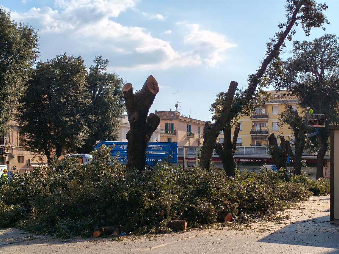 Alberi gi&ugrave; in piazza, il cantiere accelera: obiettivo chiudere in giornata