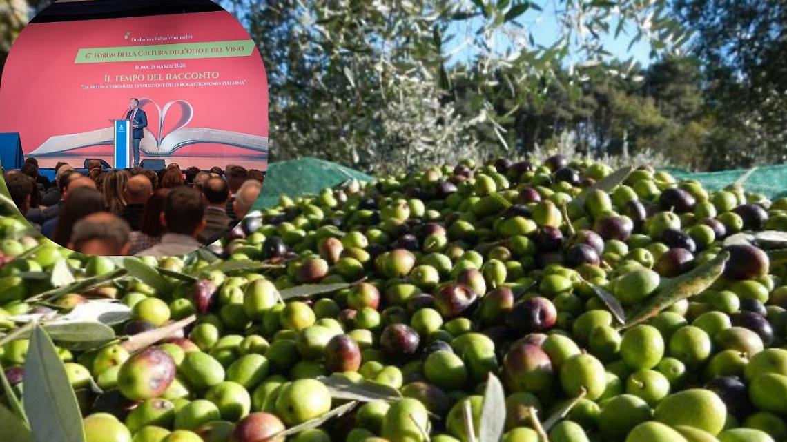 La Tuscia trionfa al Forum della Cultura dell'Olio: premiate otto eccellenze viterbesi 