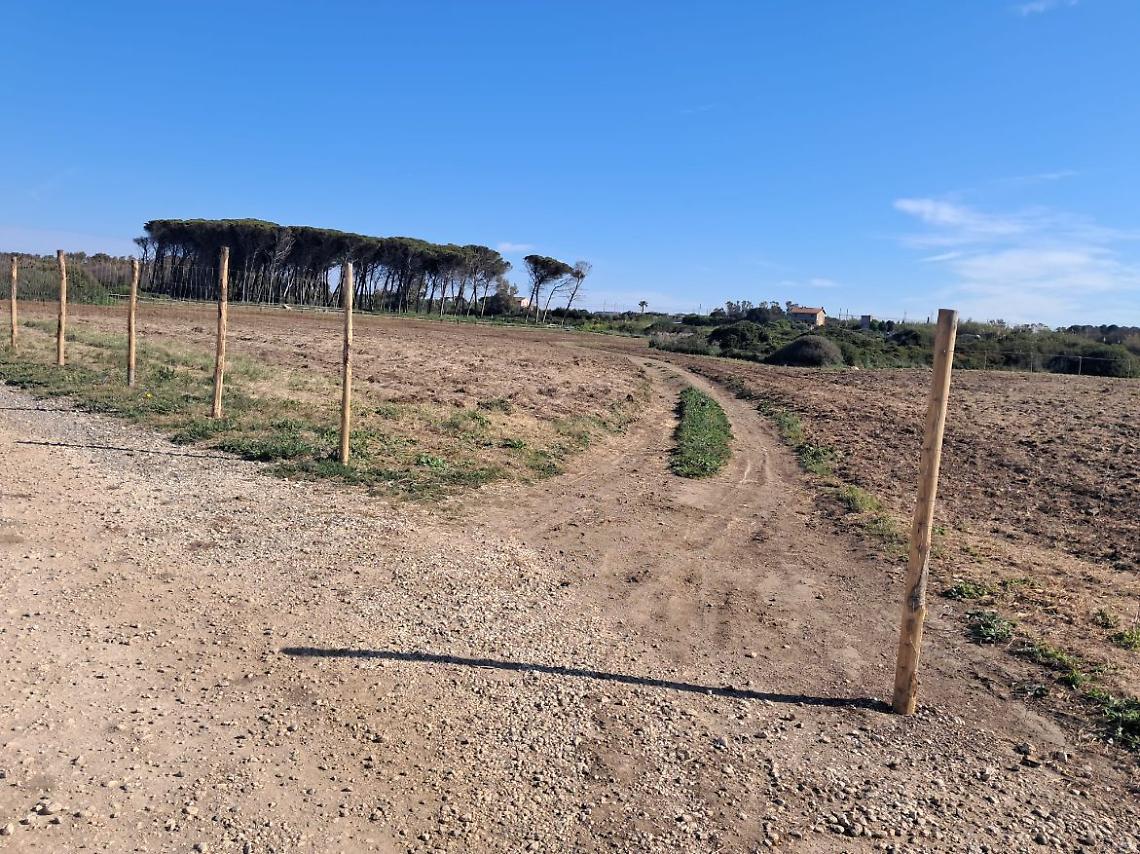 Frasca, al via i lavori di riforestazione Pnrr: i timori di Bioma 