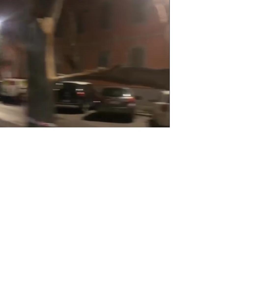 Giornata infinita per i vigili del fuoco di Civitavecchia: il vento spezza un albero in via Leonardo - VIDEO