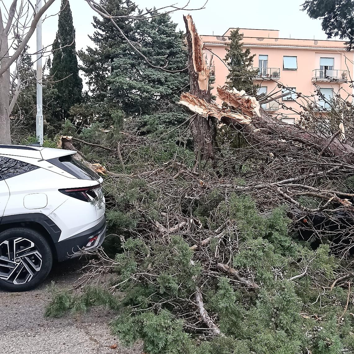 La Tuscia sferzata dal vento: 80 interventi dei vigili del fuoco in due giorni