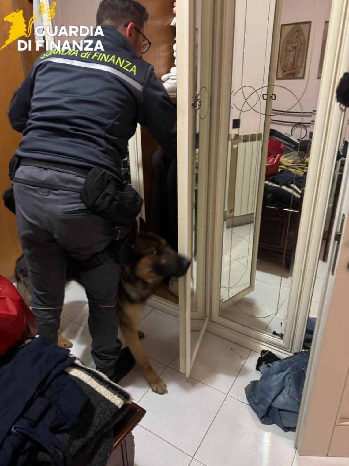 Finanza, smantellato il market della droga nei boschi di Tarquinia: un arresto anche a Santa Marinella