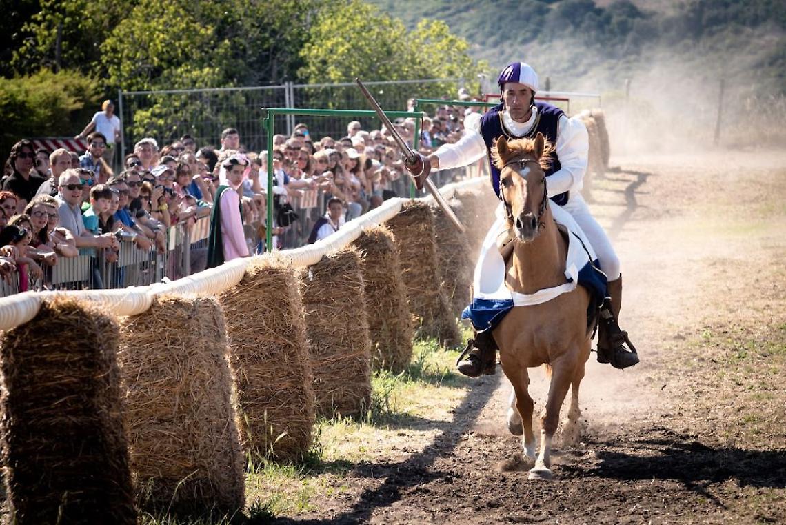 Verso il Palio dell'Anello: incontro su sicurezza e benessere animale