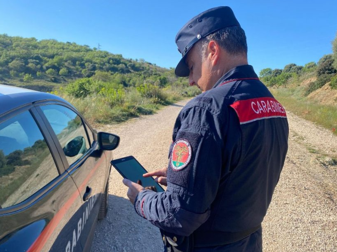 Forestale Civitavecchia