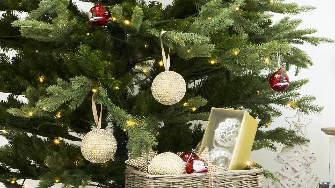 A Tarquinia domani &ldquo;Gli alberi dello sport&rdquo;