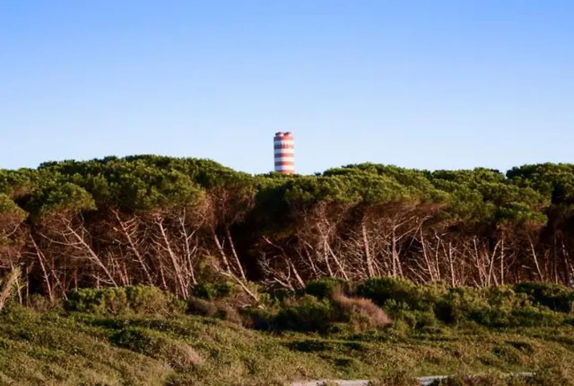 Trova l'intruso (foto Antonio La Malfa )