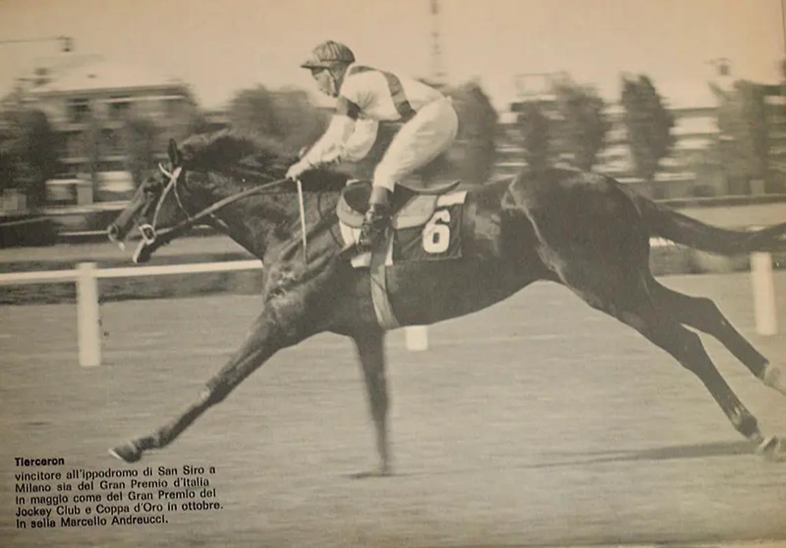 Tarquinia, omaggio a Marcello Andreucci campione dell'ippica