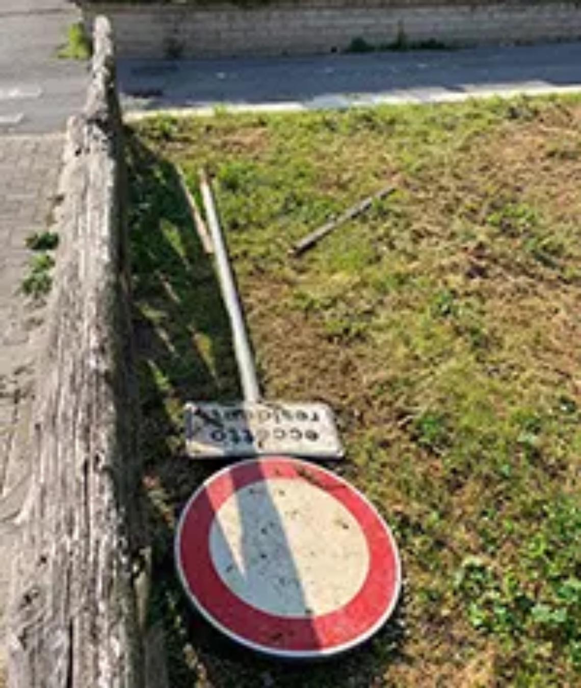 Degrado delle aree verdi di Aranova