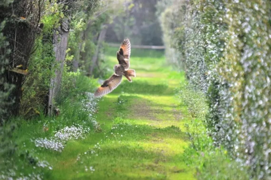 Macchiatonda: ''Il sindaco Tidei ha le idee confuse''