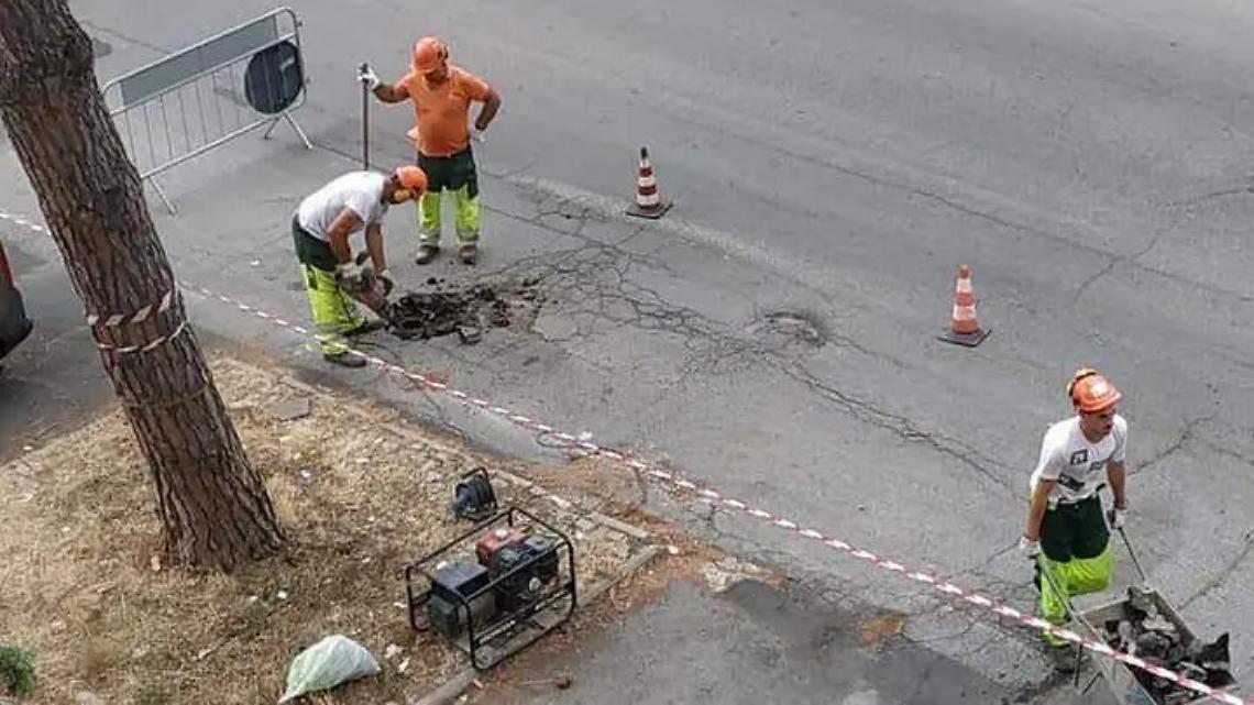 Rimozione delle radici su via Montanucci