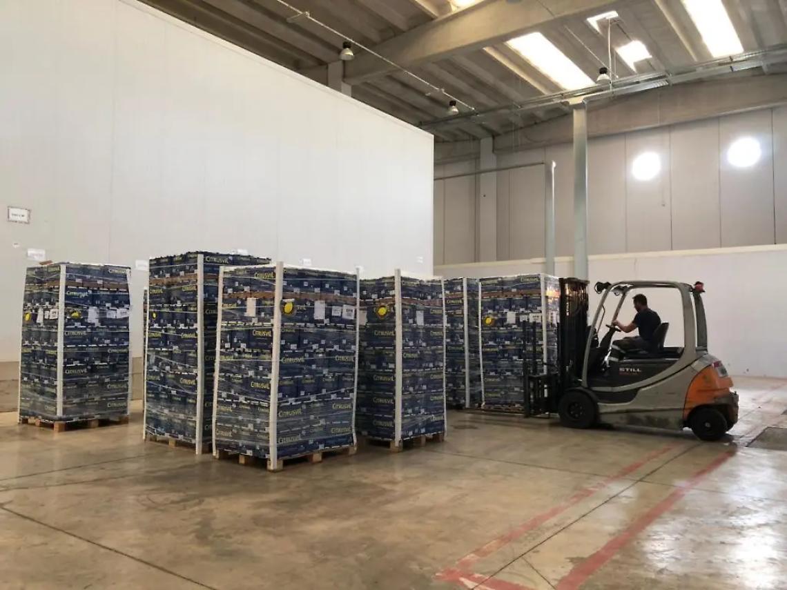 Rinasce l'interporto: arrivati i primi 4 container di agrumi