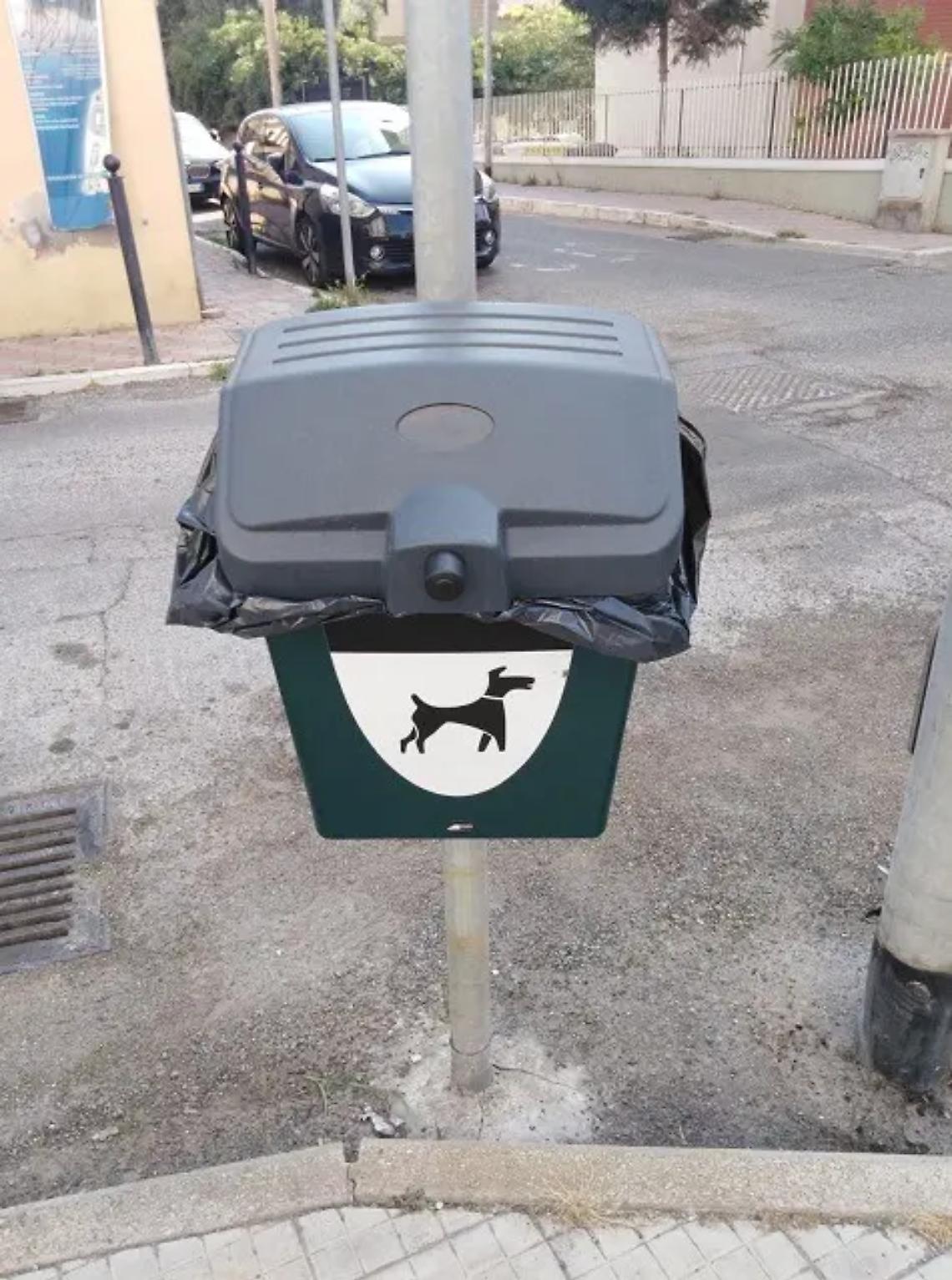 Csp, prosegue il posizionamento dei cestini per la raccolta delle deiezioni canine