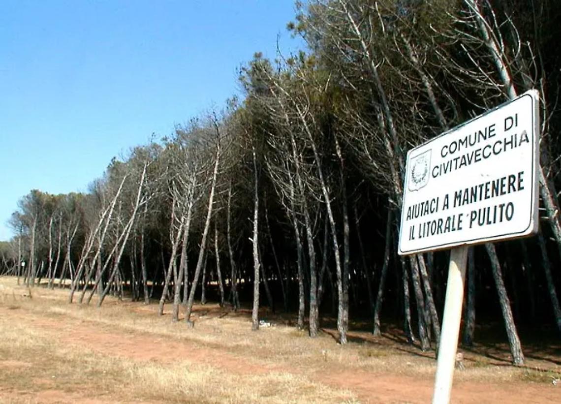 Frasca, in progetto la recinzione per ridare decoro alla pineta