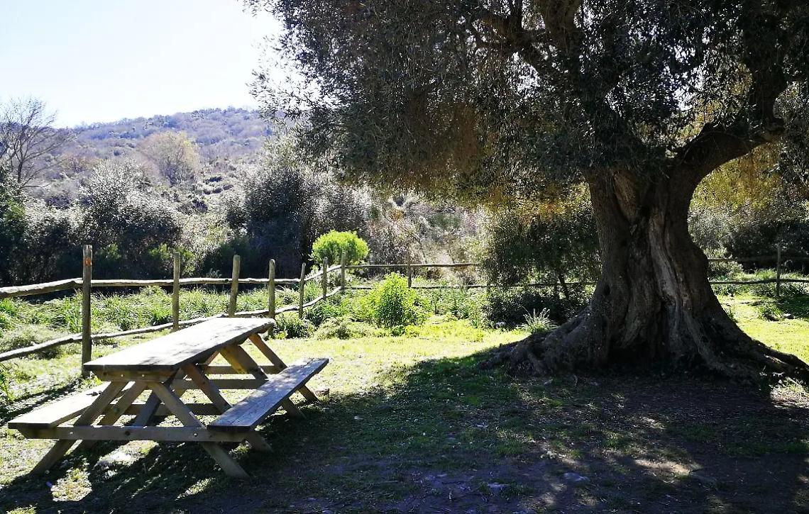 &laquo;Petrelli non vuole bene all&rsquo;Agraria e nemmeno a Civitavecchia&raquo;