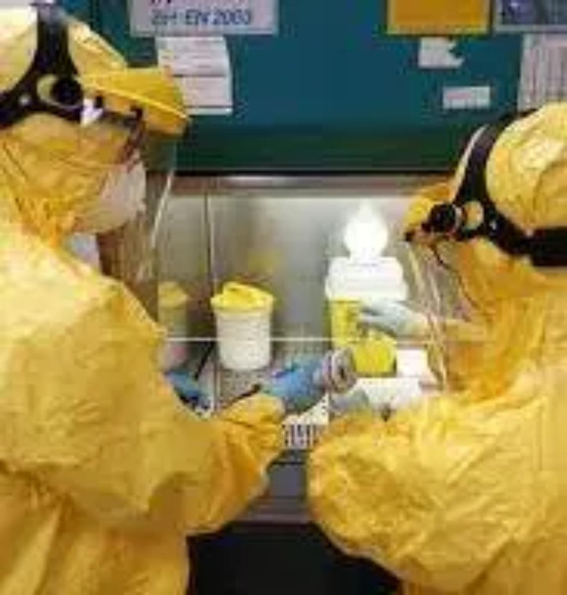 Impennata di contagi: ieri a Tarquinia 31 nuovi casi Ventiquattro a Montalto