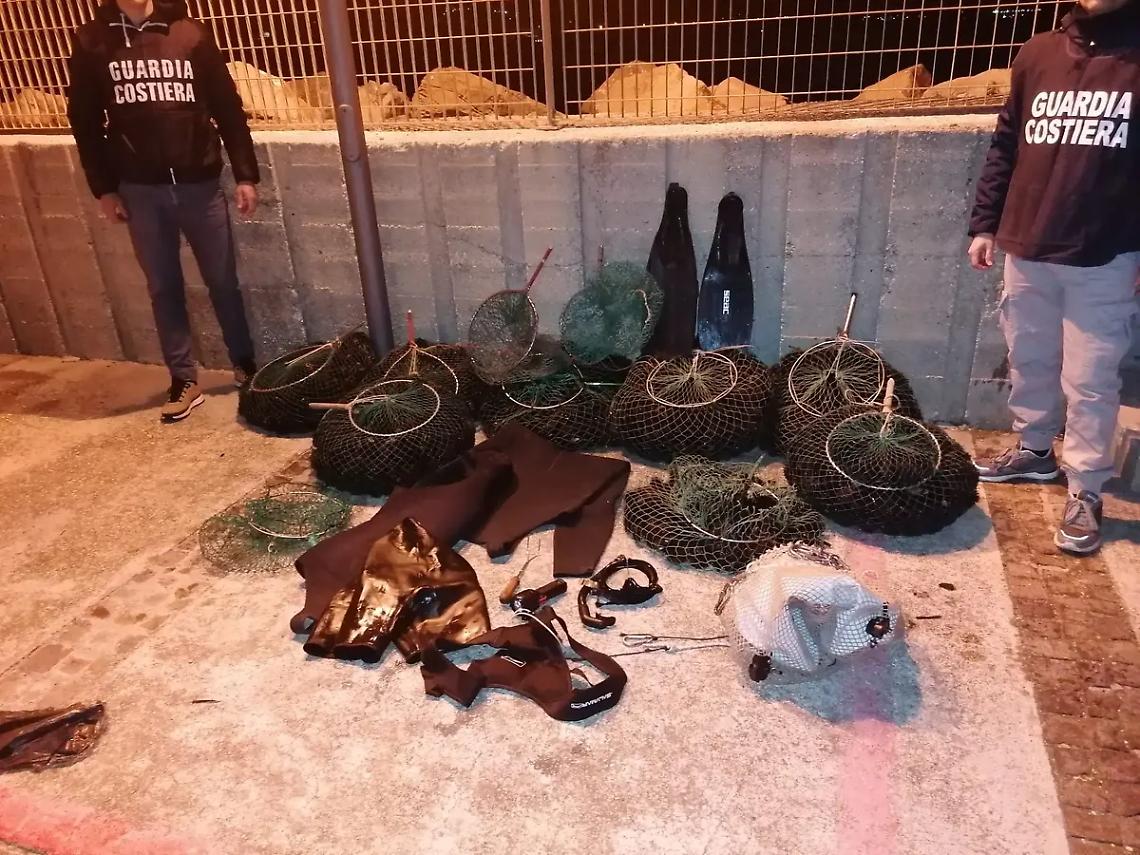 Pescatori di frodo nella rete della Guardia Costiera: restituiti in mare 12mila ricci