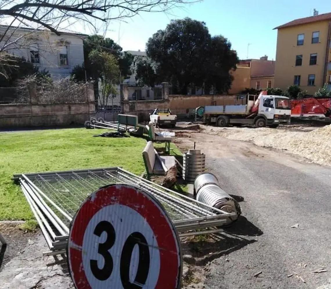 Taglio dei pini al Lido e nuovo parcheggio all&rsquo;ospedale, Next Etruria: &laquo;No al cemento&raquo;