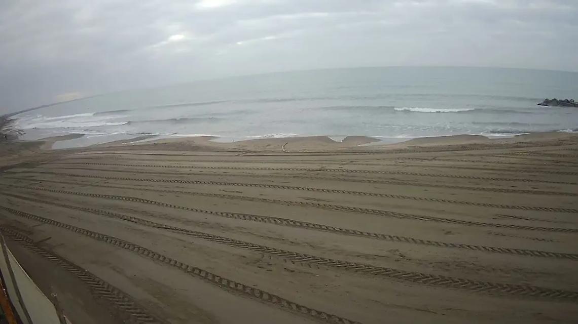 Ladispoli, Assobalneari ripulisce gli arenili