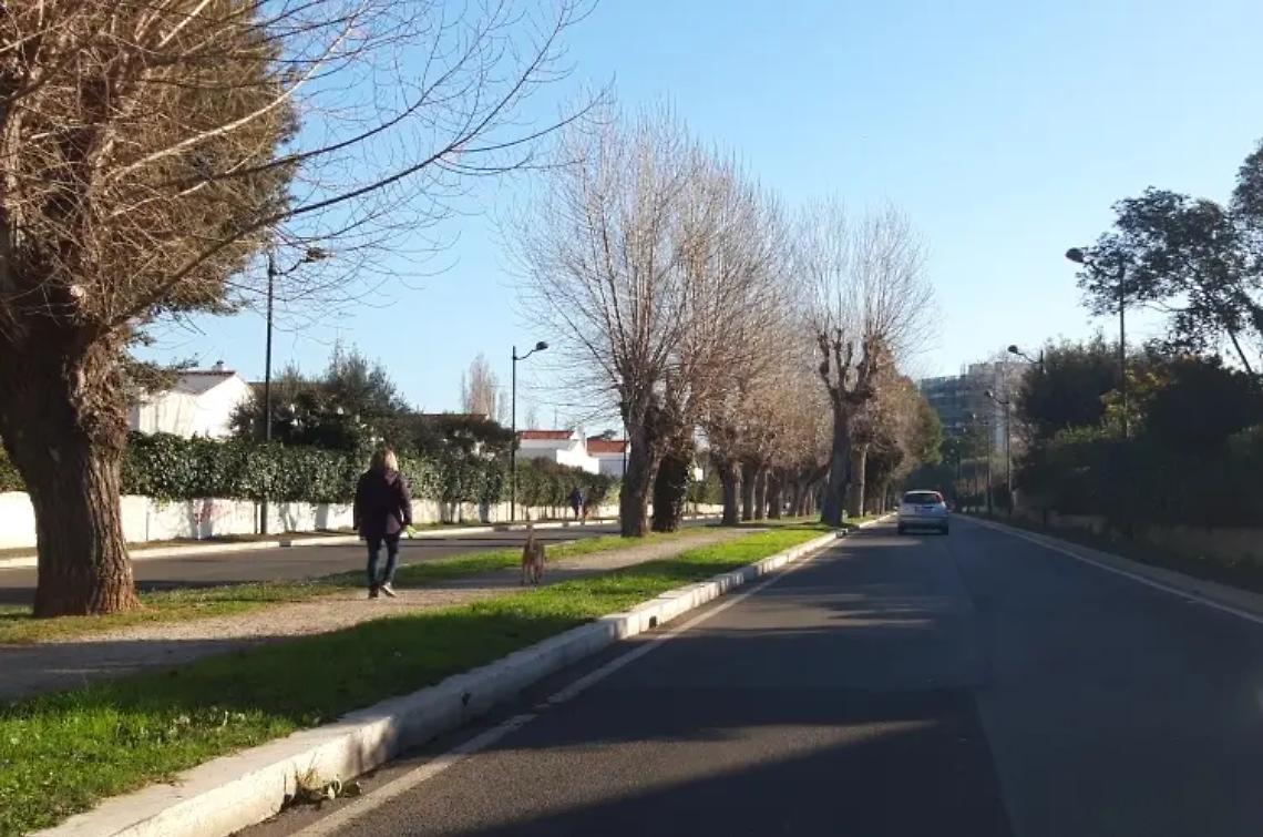 Cerveteri, ancora un'aggressione: pitbull assale donna e il suo cane