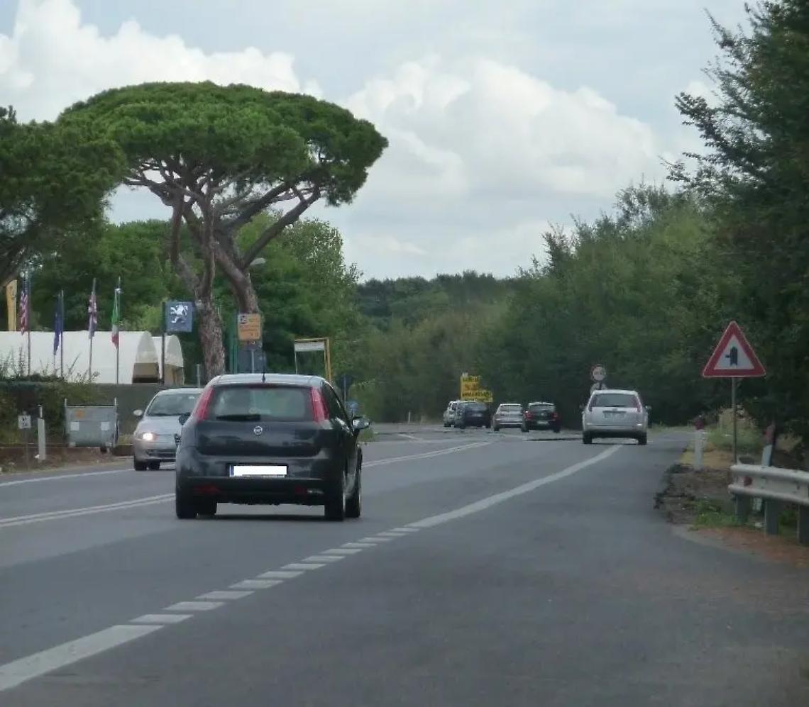 Pini a rischio e incroci pericolosi