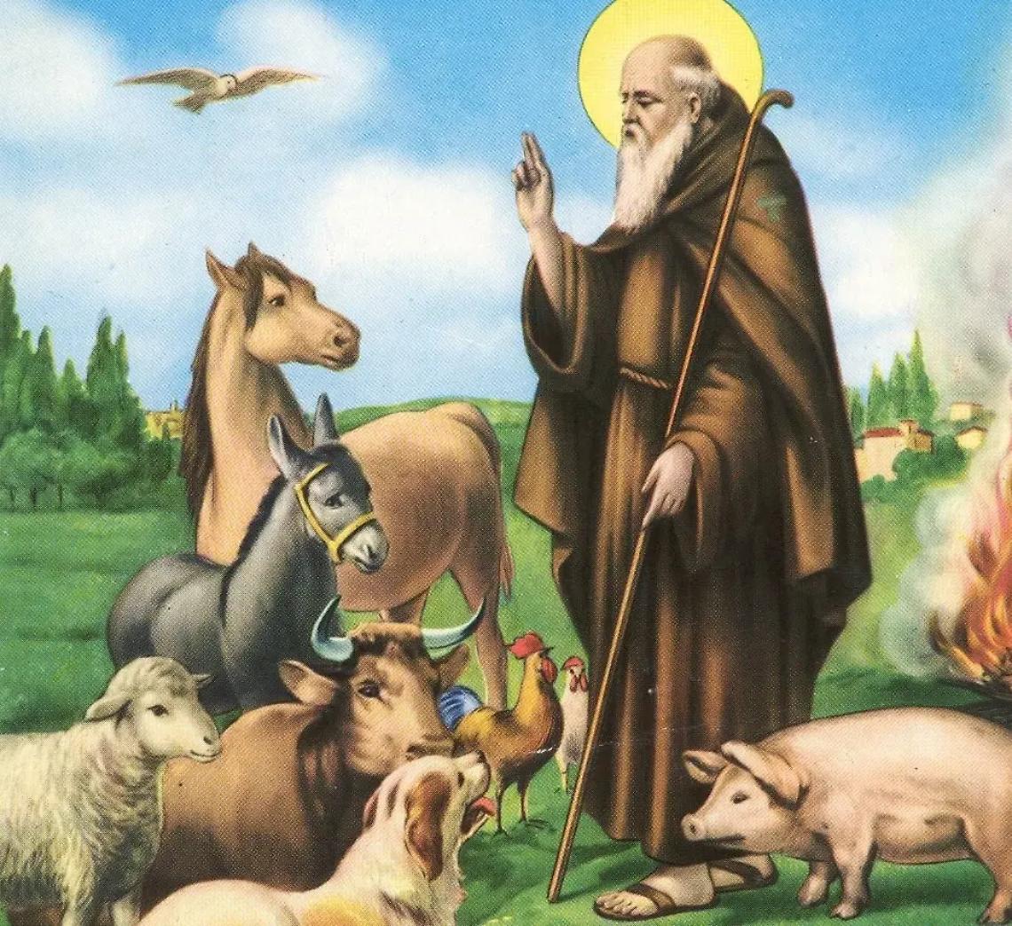 Sant&rsquo;Antonio Abate: grande festa nel centro storico