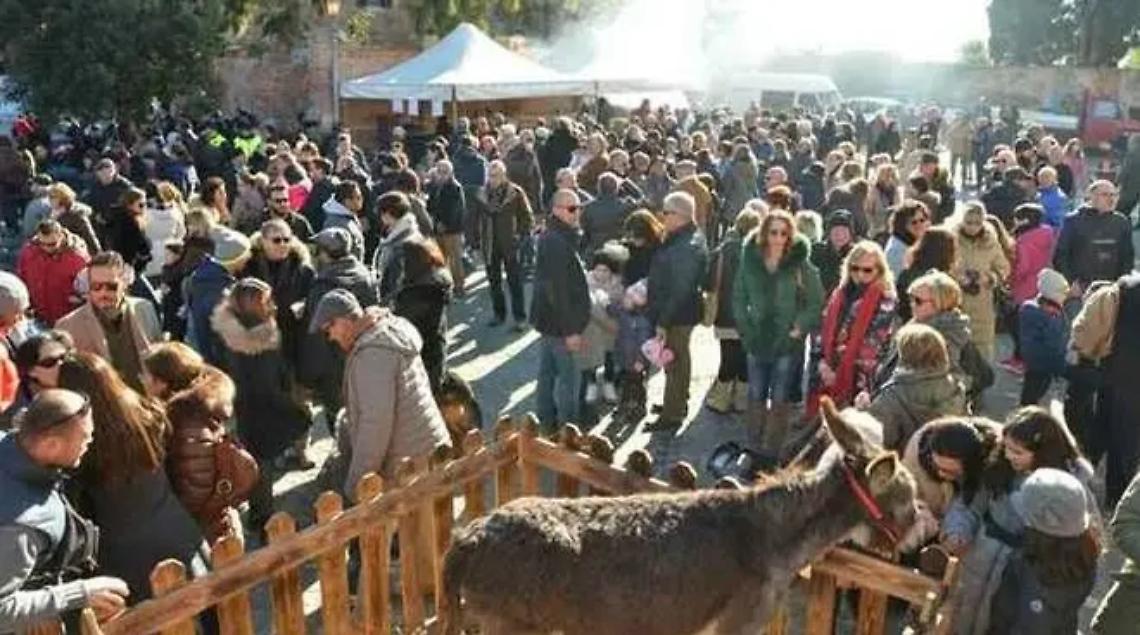 Domenica 22 gennaio Montalto e Pescia festeggiano Sant'Antonio Abate