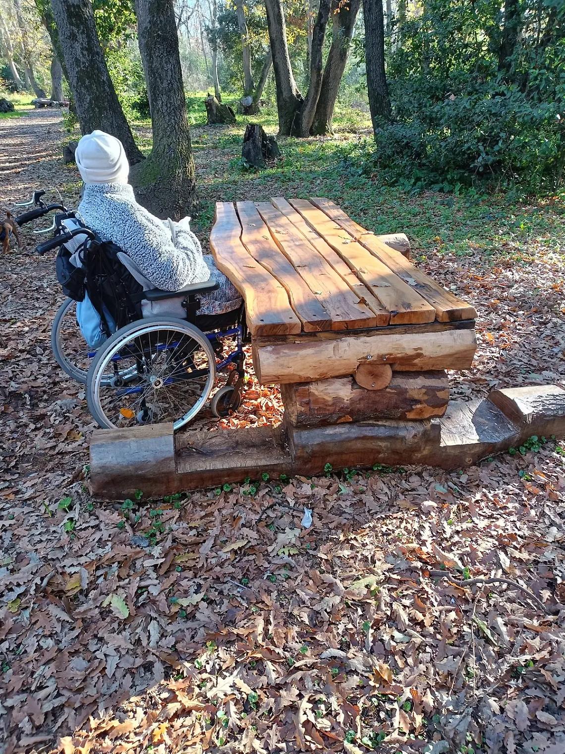 Ladispoli, panchine per disabili nel bosco di Palo