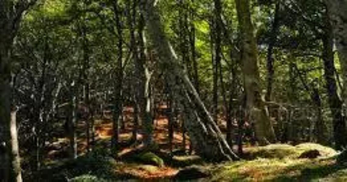 Una passeggiata raccontando il Brigantaggio sui Cimini