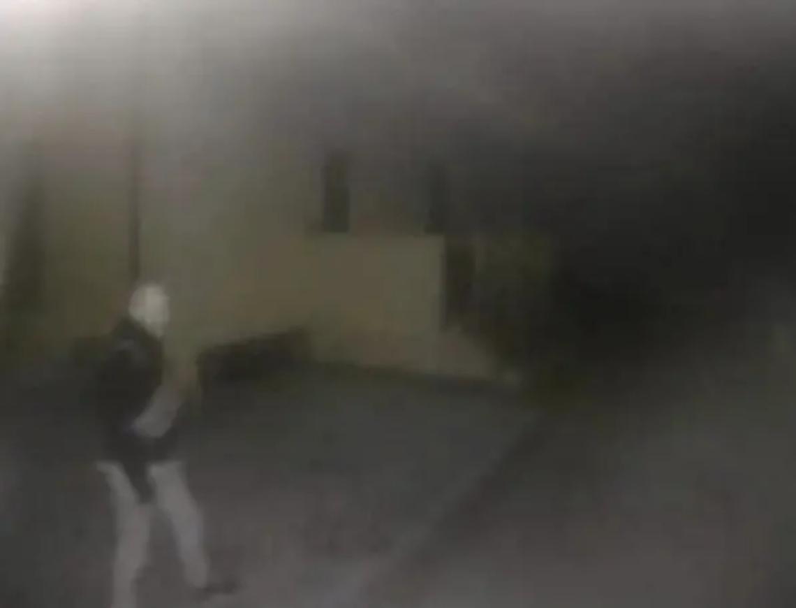 Ladro solitario filmato dalle telecamere