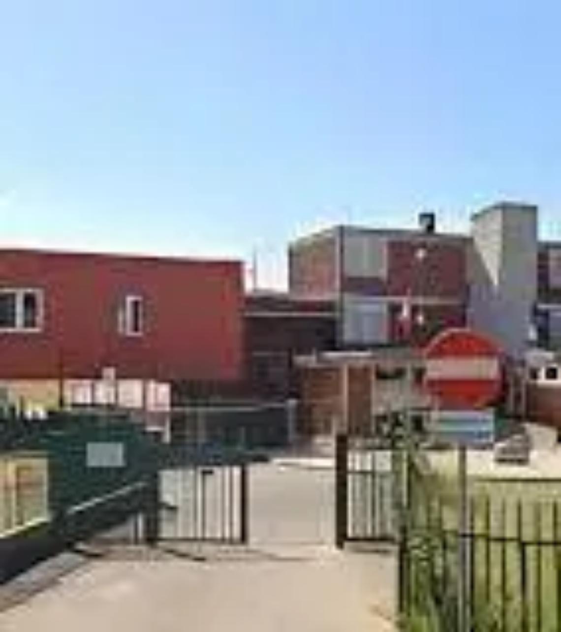 Topi a scuola, chiusa la sede Stradella