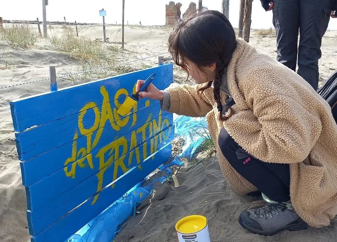 Blitz per ricostruire i recinti del fratino