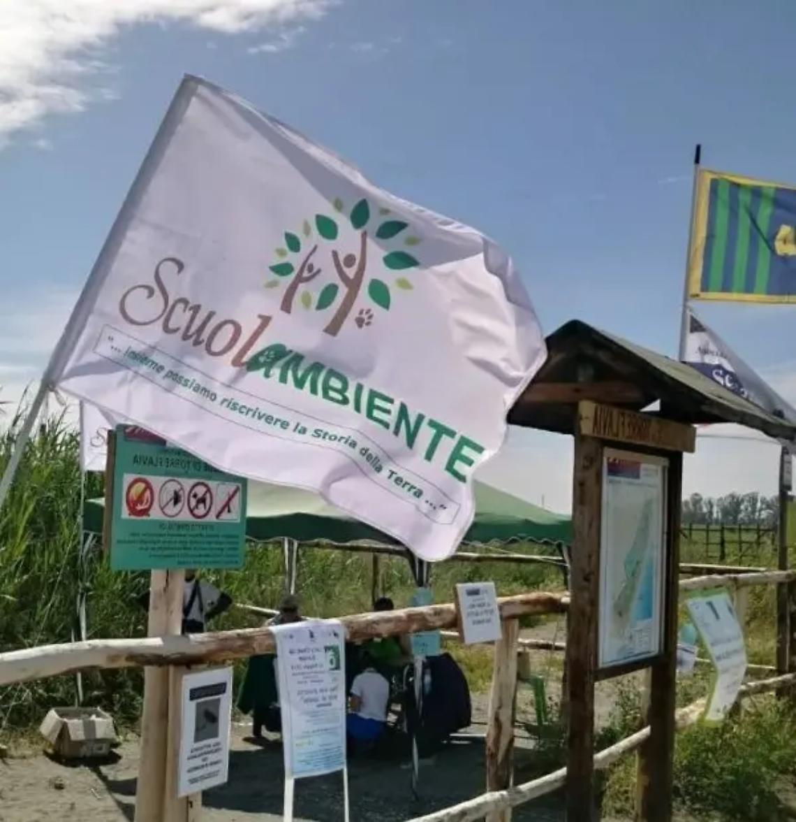 &laquo;L&rsquo;oasi di Torre Flavia patrimonio di tutti&raquo;