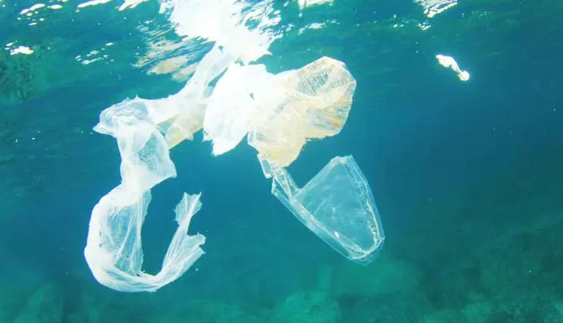 Pesci, un terzo ha ingerito plastica