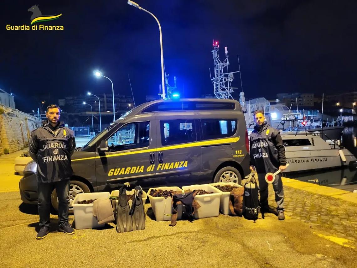 Guardia di Finanza, pescatori di frodo fermati con oltre 13mila ricci di mare