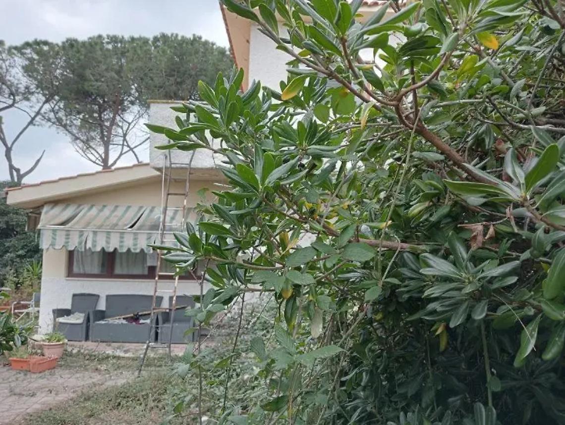 Tarquinia, Stefano Mecarini all'arrivo della Polizia aveva gi&agrave; preparato una lettera-testamento