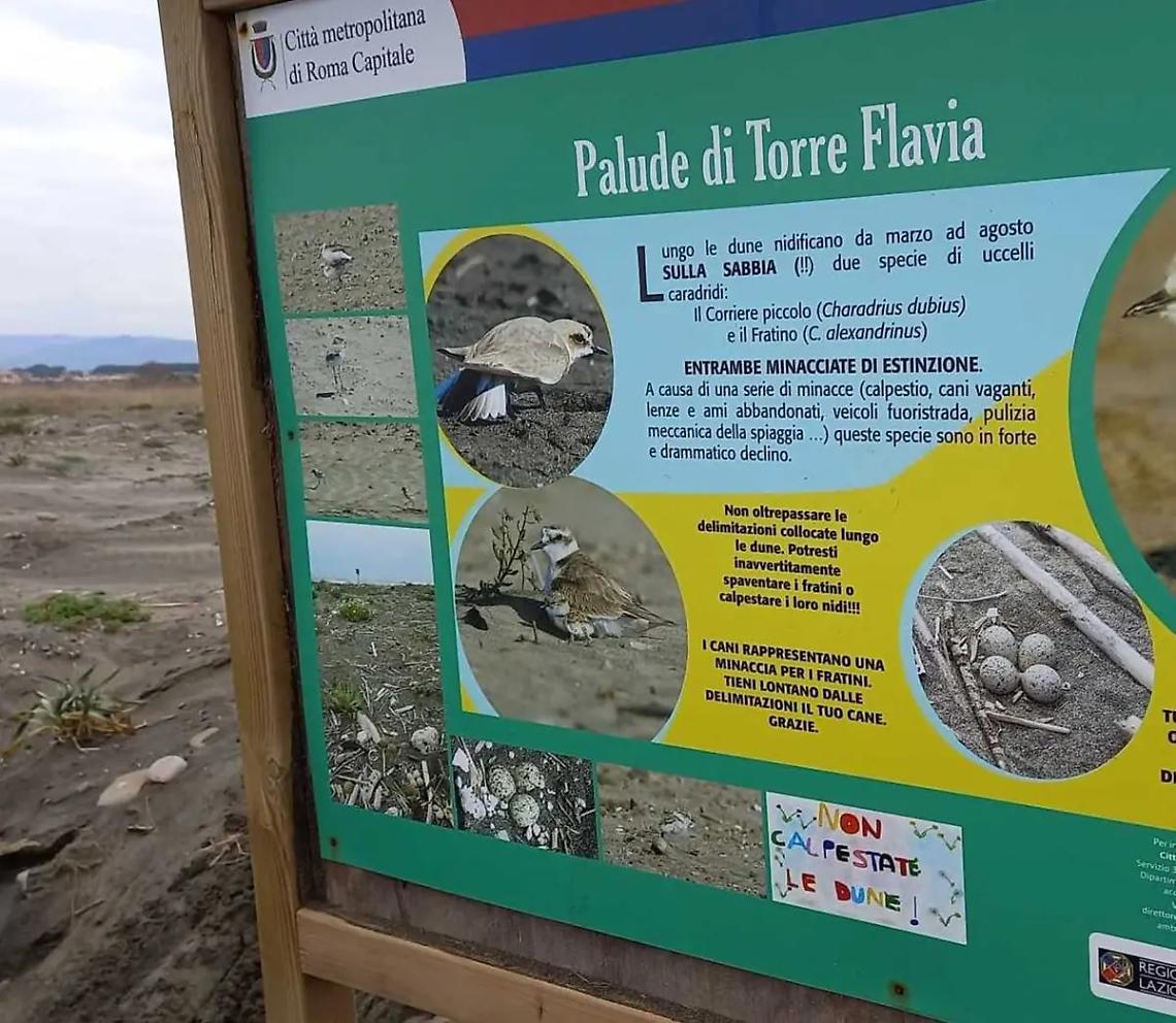 Ladispoli, la Palude torna a nuova vita