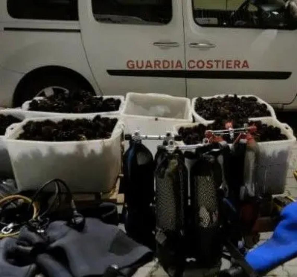 Guardia costiera, nuovo ingente sequestro di ricci di mare