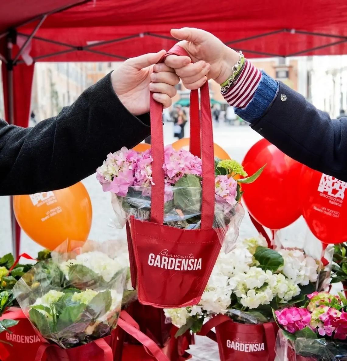 In piazza Aldo Moro &ldquo;Bentornata Gardensia&rdquo;