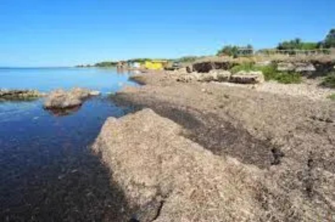 Frasca, il Pincio prova ad accelerare