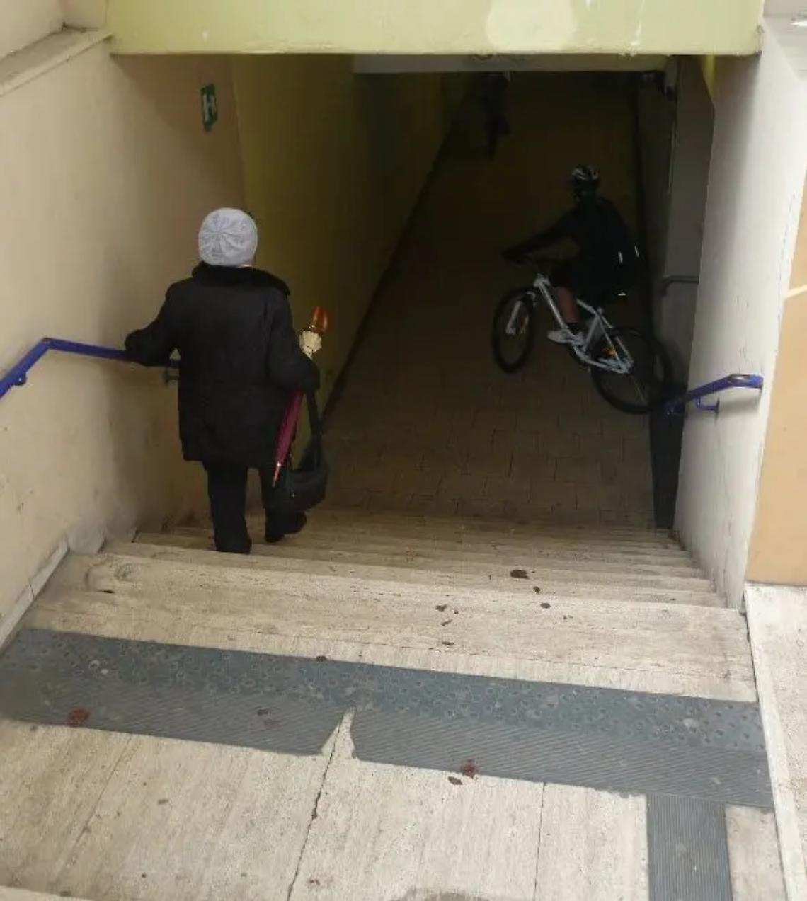 &laquo;Solidariet&agrave; alla donna morsa dal cane&raquo;